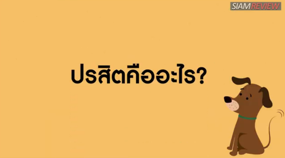 ปรสิต คืออะไร?