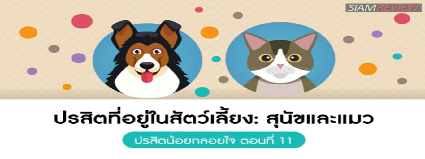 รูปประกอบ ปรสิตน้อยกลอยใจ ตอนที่ 11 ปรสิตที่อยู่ในสัตว์เลี้ยง: สุนัขและแมว