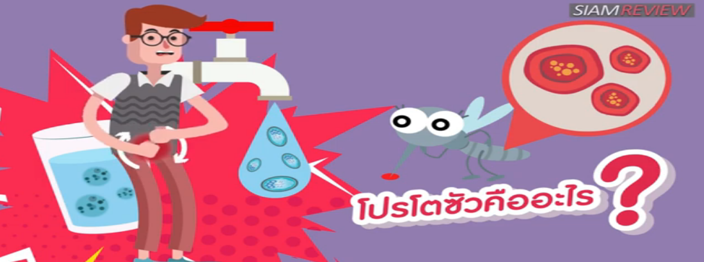 รูปประกอบ ปรสิตน้อยกลอยใจ ตอนที่ 2: โปรโตซัวคืออะไร