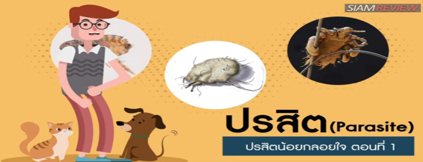 รูปประกอบ ปรสิตน้อยกลอยใจ ตอนที่ 1: ปรสิตคืออะไร