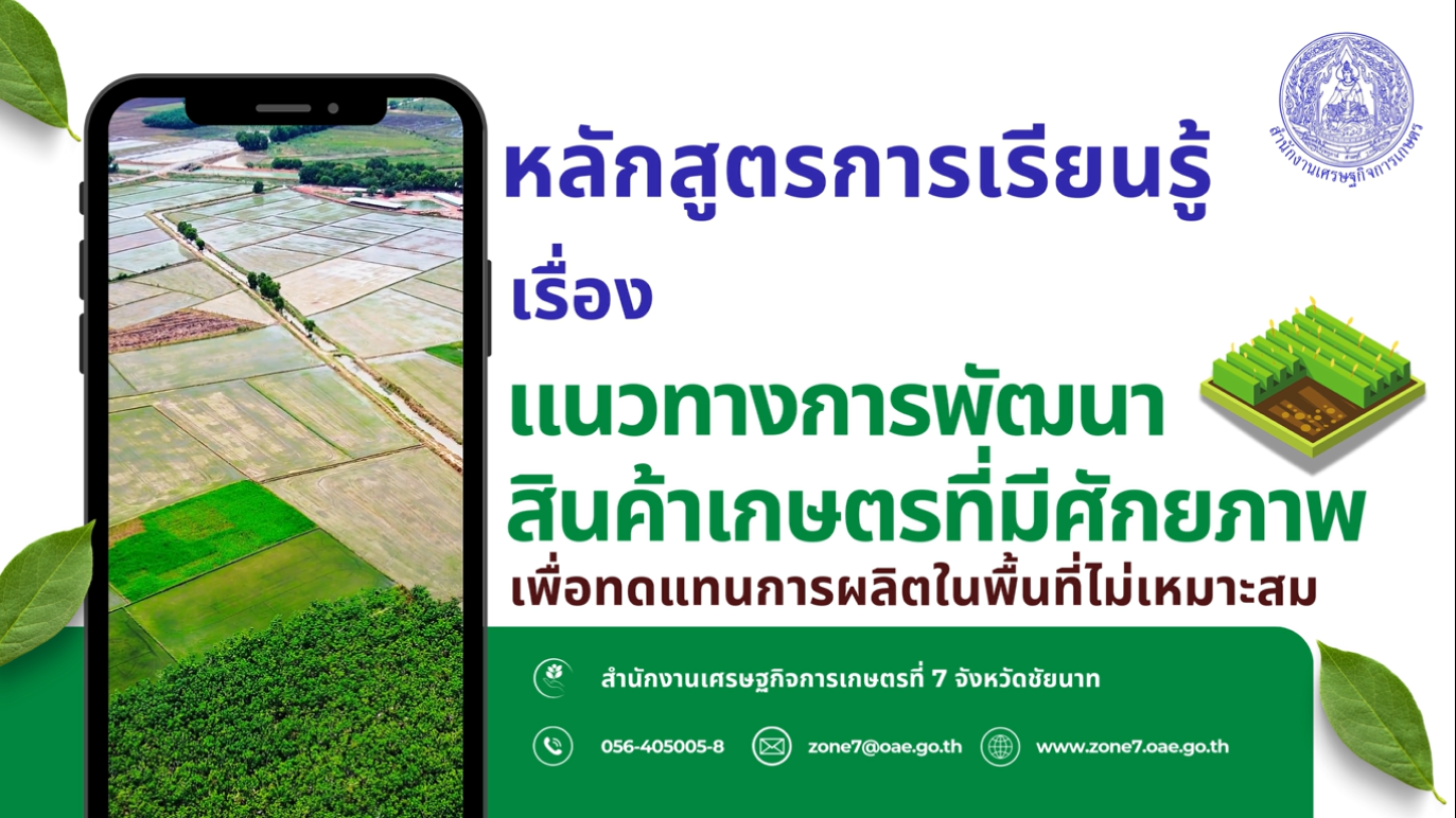 รูปประกอบการพัฒนาสินค้าเกษตรที่มีศักยภาพเพื่อทดแทนการผลิตในพื้นที่ไม่เหมาะสม